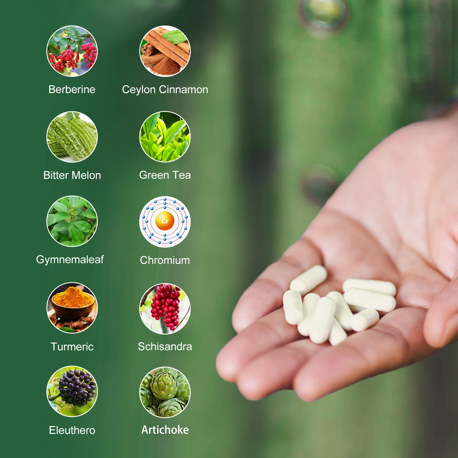 Berberine HCL 1200mg, 120 Capsules Berberine Supplement- Plus Bitter Melon Extract & Ceylon Cinnamon for Immune System - Image 7