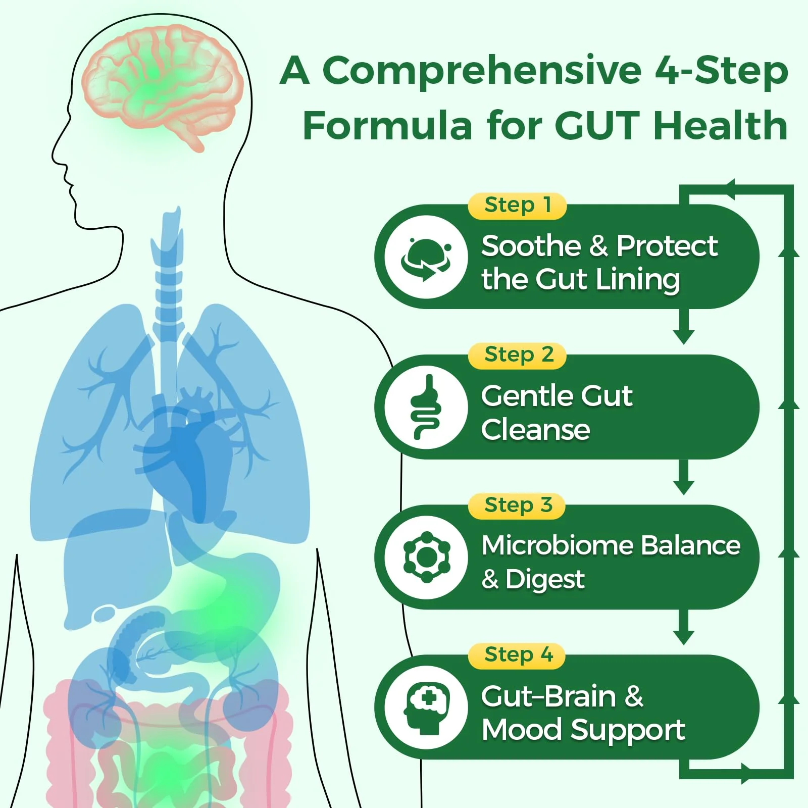 GREENPEOPLE 4-in-1 Gut Health & Mood Support Supplement - Slippery Elm, Digestive Enzymes, Akkermansia Probiotics, Prebiotics & Postbiotics - 60 Capsules - Image 3