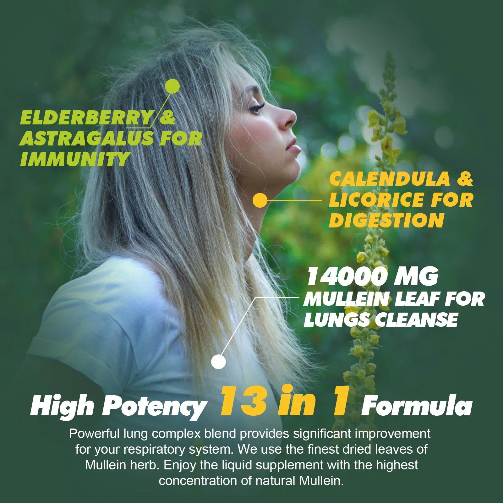 Mullein Leaf Liquid Drops – 13-in-1 Lung & Immune Herbal Formula, 2oz - Image 7