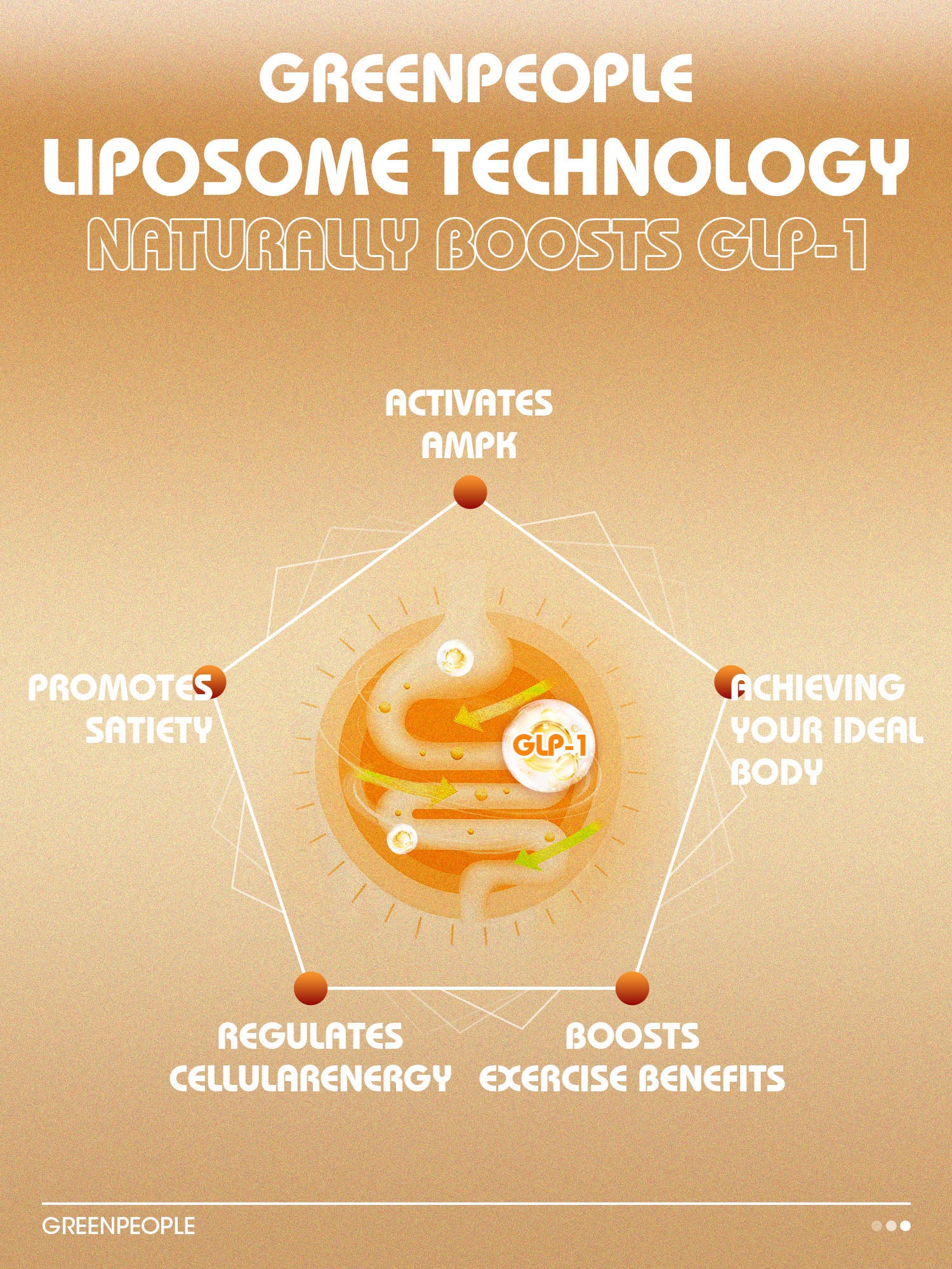 Liposomal Berberine HCl 1300mg with Ceylon Cinnamon – High Absorption, AMPK & GLP-1 Activator – 60 Vegan Capsules - Image 13