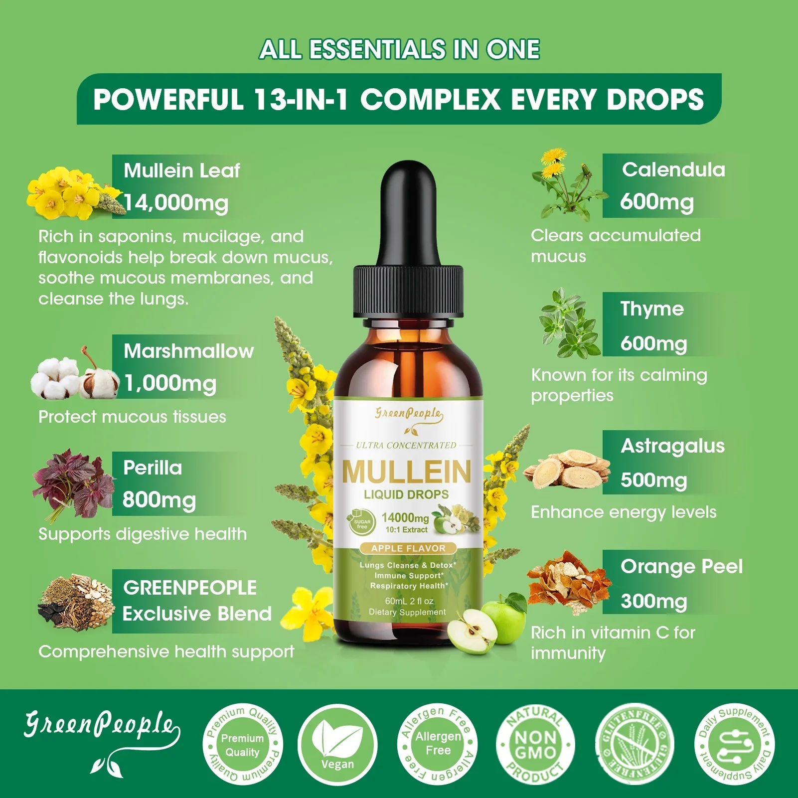 Mullein Drops for Lungs - Vegan mullein leaf extract Highly Absorption - Lung Cleanse & Immune Support, Apple Flavor, 60ml - Image 8