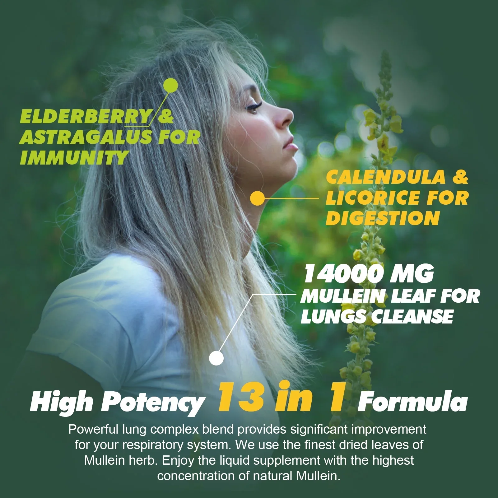 Mullein Leaf Extract Liquid Drops | 60ml - Image 4