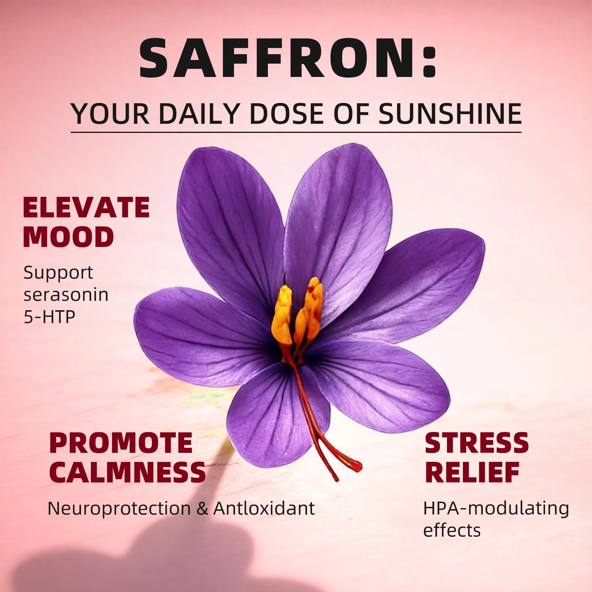 24-in-1 Saffron Extract Drops | 60ml - Image 9